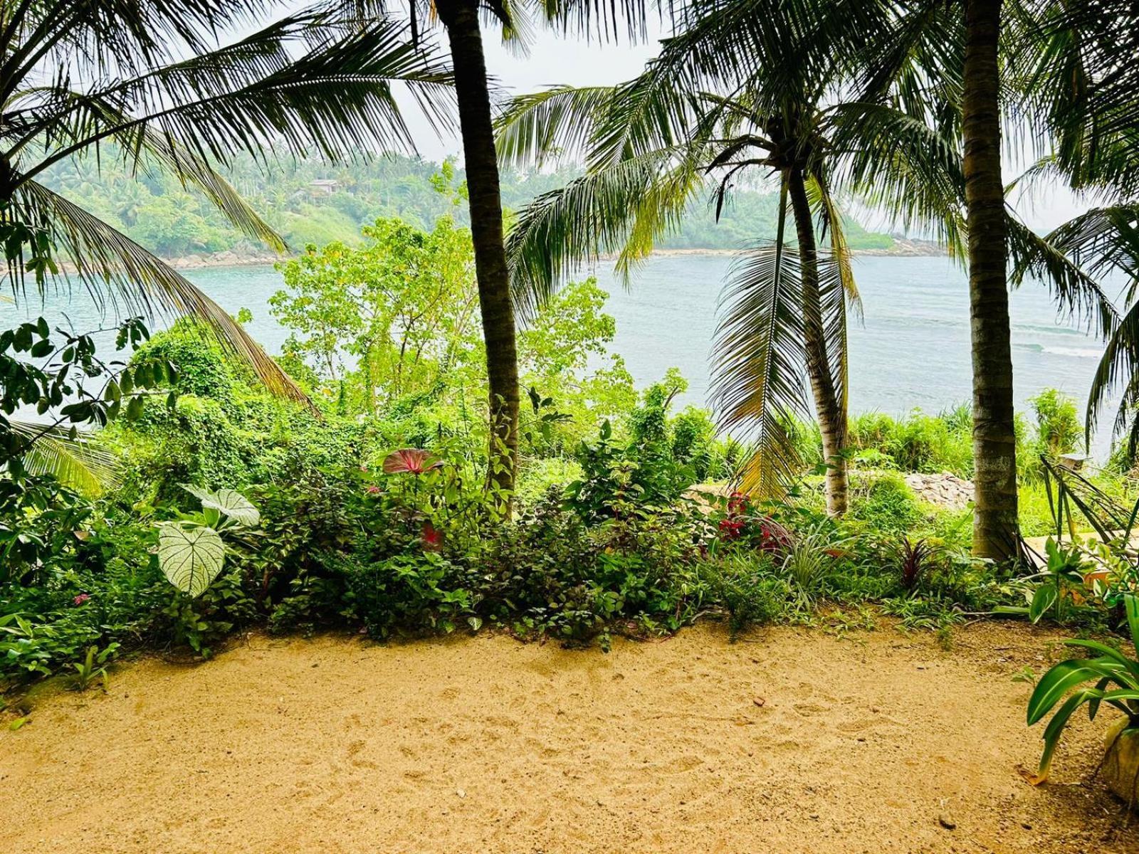 Surf Paradise Тангалла Экстерьер фото