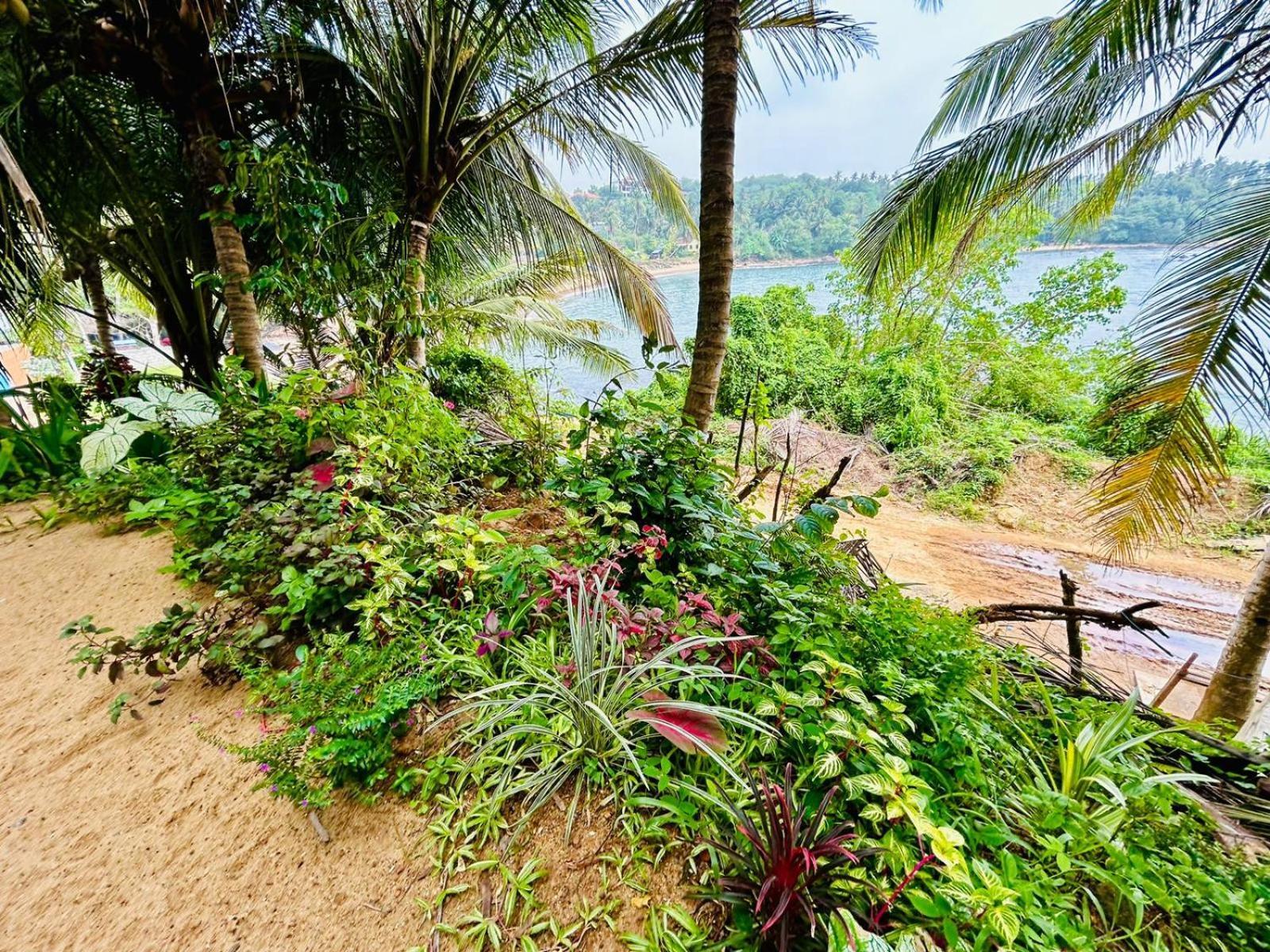 Surf Paradise Тангалла Экстерьер фото